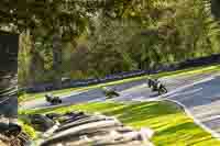 Advanced Group Green Bikes